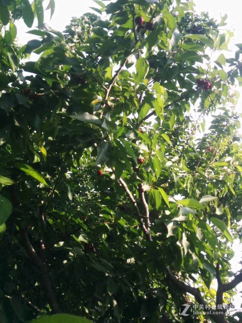 #春季出行数码随行礼包#第一弹----纸可拍数码相机。