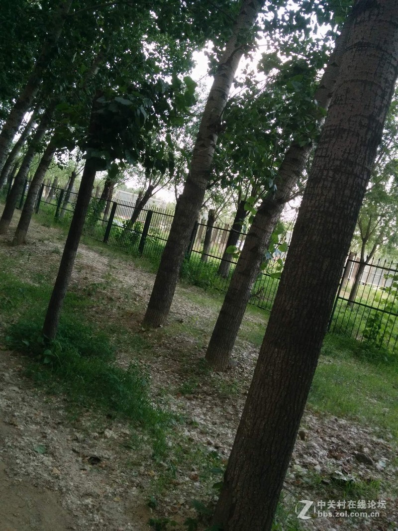 #春季出行数码随行礼包#第一弹----纸可拍数码相机。