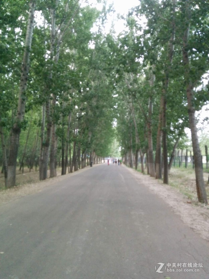 #春季出行数码随行礼包#第一弹----纸可拍数码相机。