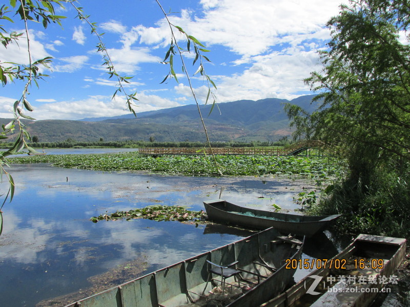 SX160 IS绝对未经ps原图大理茈碧湖荷花赏析