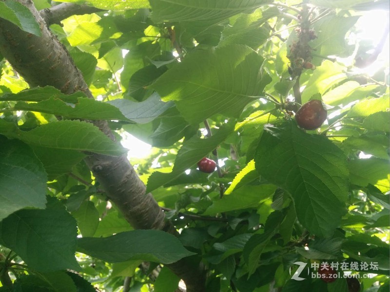 #春季出行数码随行礼包#第一弹----纸可拍数码相机。