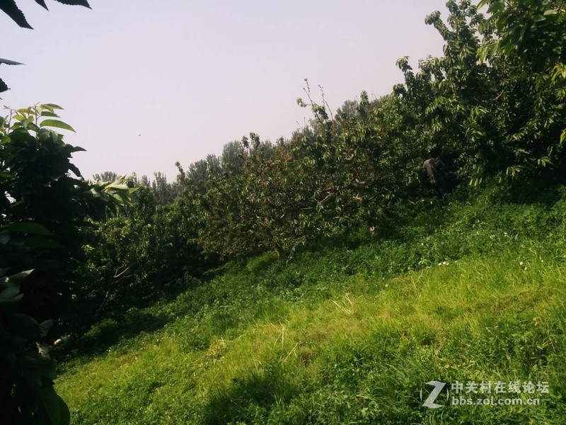 #春季出行数码随行礼包#第一弹----纸可拍数码相机。