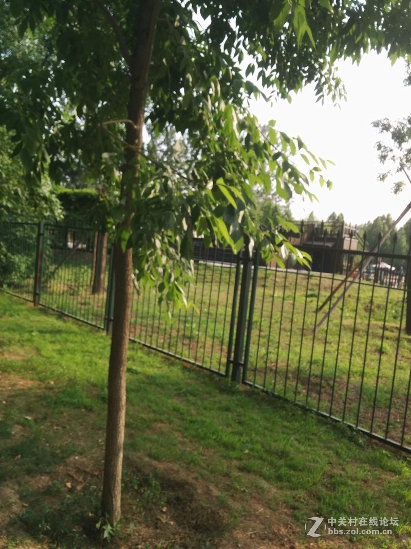 #春季出行数码随行礼包#第一弹----纸可拍数码相机。