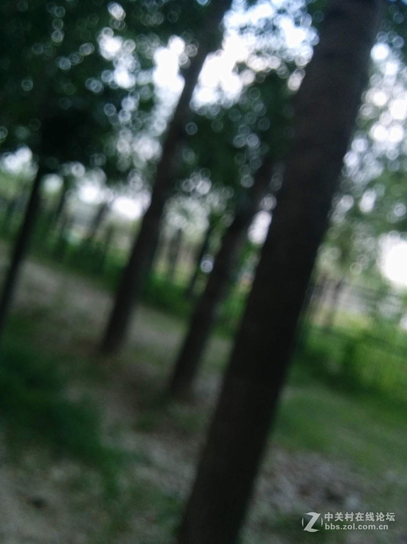 #春季出行数码随行礼包#第一弹----纸可拍数码相机。