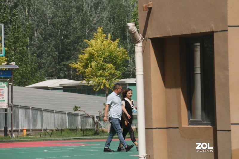 雨后初夏小区的芍药花，蔷薇花共赏