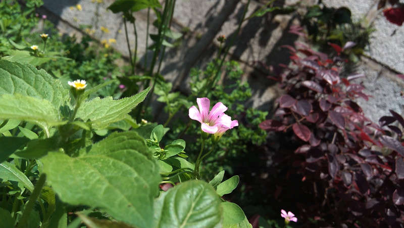 #大神F1极速体验# --699的大神真任性--UI体验篇（三）