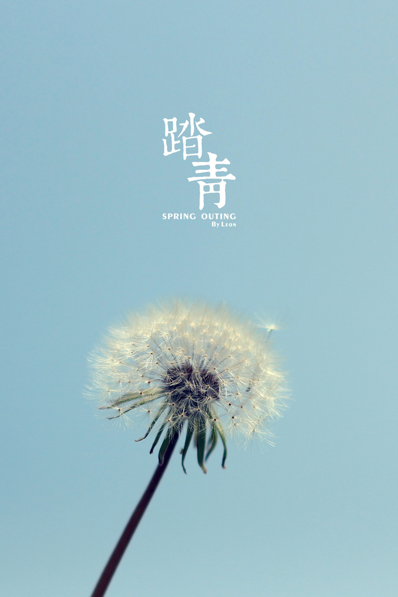 踏青--Spring Outing