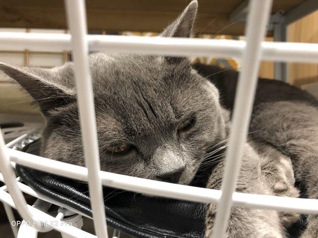 10亿色彩屏幕，120Hz高刷新率！这款手机爽得你浑身鸡皮疙瘩！