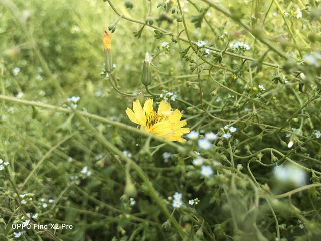 10亿色彩屏幕，120Hz高刷新率！这款手机爽得你浑身鸡皮疙瘩！