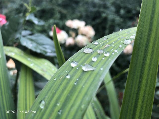 10亿色彩屏幕，120Hz高刷新率！这款手机爽得你浑身鸡皮疙瘩！