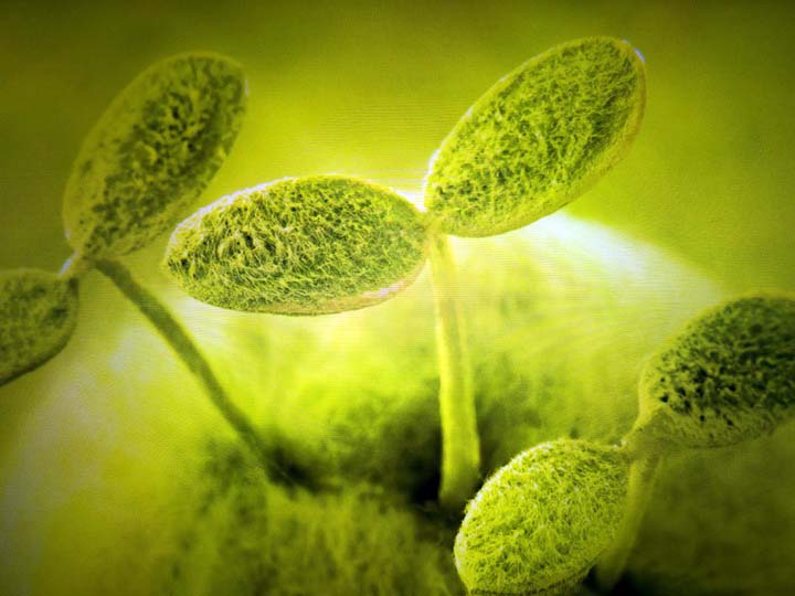 【乐视超级手机1---创新之美，令人窒息】屏幕