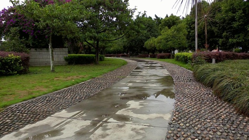 平板拍摄的优势：用诺基亚N1拍雨后