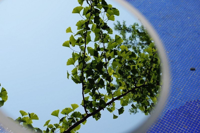 网红魔镜开箱测评！光线打得好，化妆没烦恼！