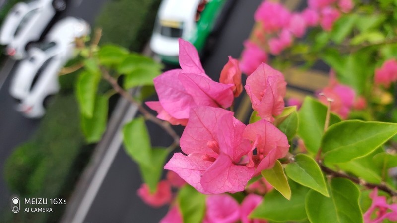 魅族X16s 首次尝试!