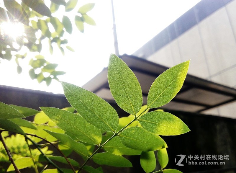 #檬懂青春，有声有色！# 有声有色——乐檬K3Note拍照篇