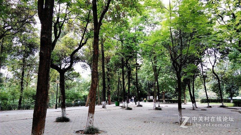 #檬懂青春，有声有色！# 有声有色——乐檬K3Note拍照篇