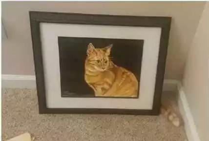 摄影师捕捉的巧合瞬间