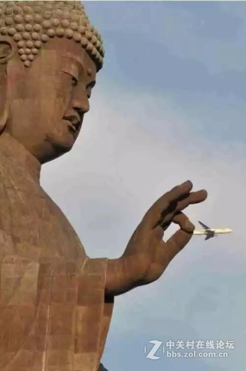 摄影师捕捉的巧合瞬间