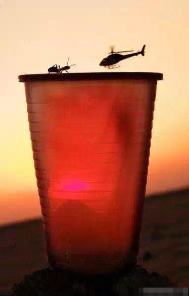 摄影师捕捉的巧合瞬间