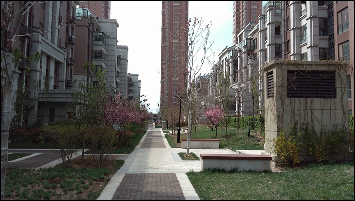 #大神F1极速体验#神自不凡！KOL联手出品（三）玩机拍照+总结