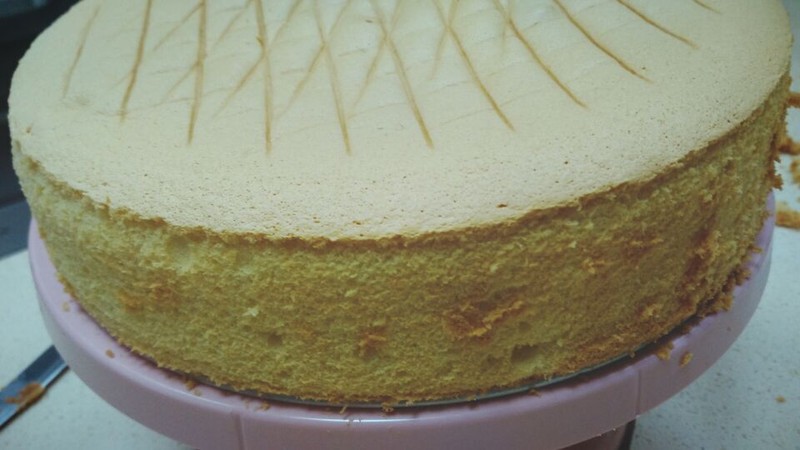 买了个德普凯信的烤箱，我算是掉坑里了。。。。。。。。。