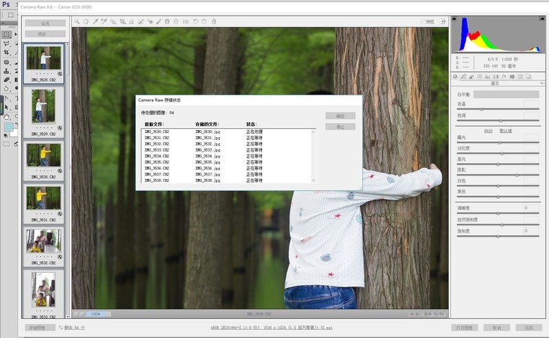 工作7年的程序猿，终于入手杨天威6