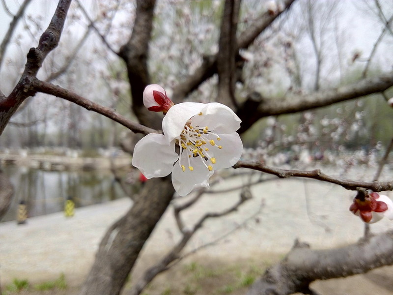 更大、更快、更流畅，K3 Note初体验_外观及UI_还是一样的骚黄范儿