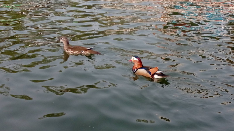 更大、更快、更流畅，K3 Note初体验_外观及UI_还是一样的骚黄范儿