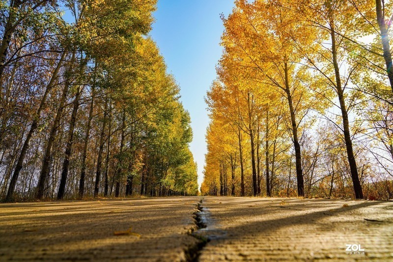 #版主坐堂#索尼大版星空(中国)2020年3月份优秀作品精选汇总