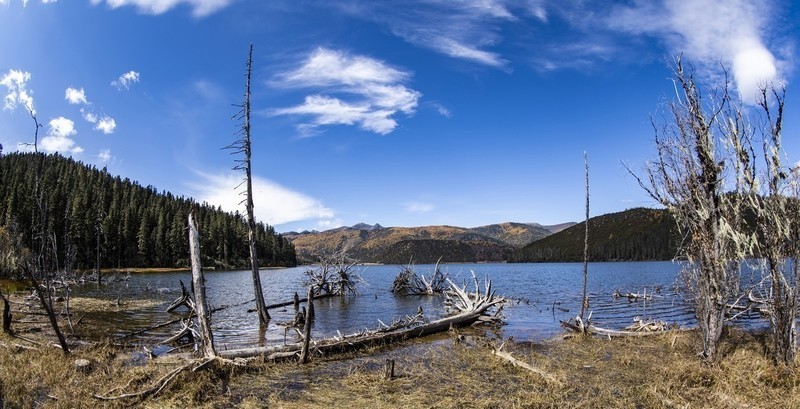 #版主坐堂#索尼大版星空(中国)2020年3月份优秀作品精选汇总