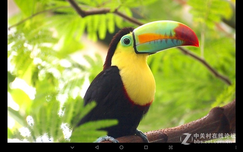 娱乐新选择——酷比魔方X体验