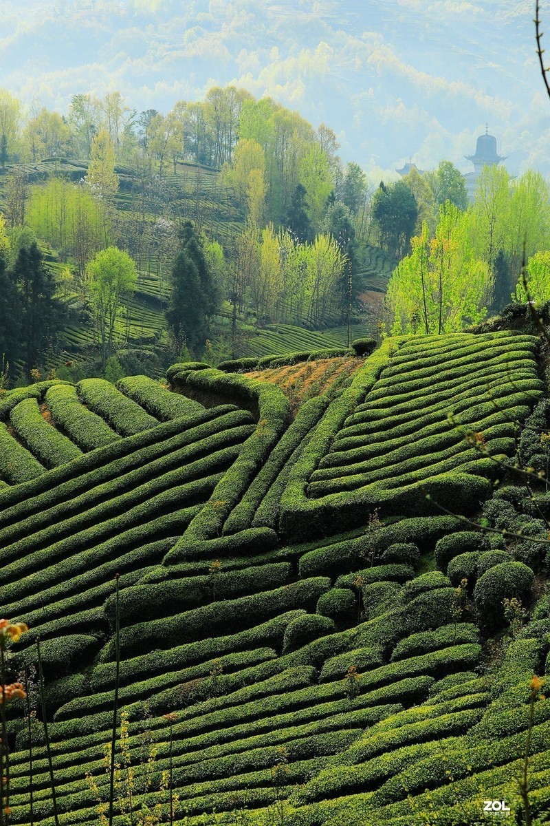 #版主坐堂#索尼大版星空(中国)2020年3月份优秀作品精选汇总