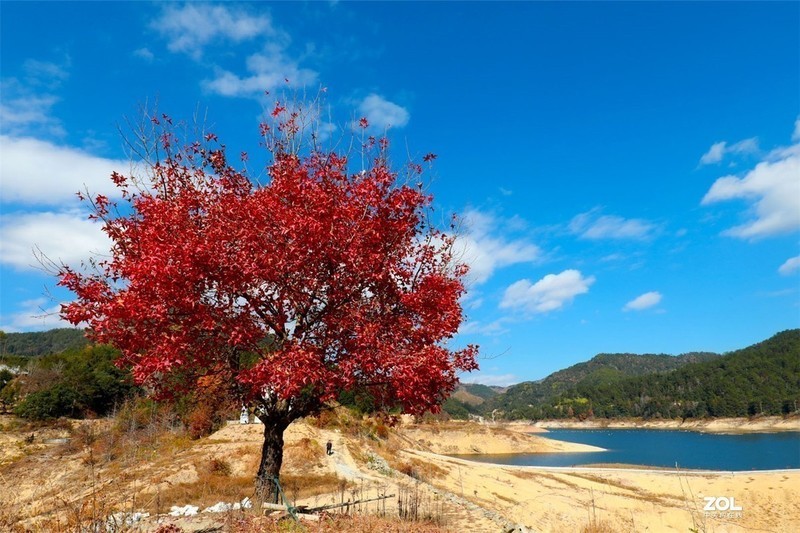 #版主坐堂#索尼大版星空(中国)2020年3月份优秀作品精选汇总