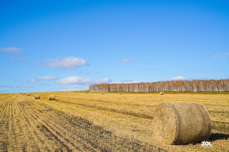 #版主坐堂#索尼大版星空(中国)2020年3月份优秀作品精选汇总