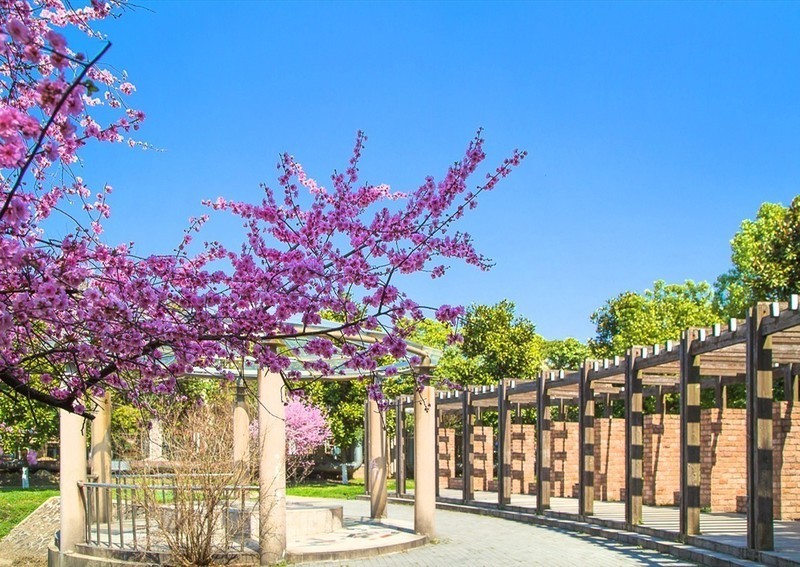 #版主坐堂#索尼大版星空(中国)2020年3月份优秀作品精选汇总