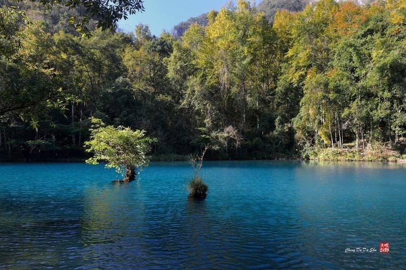 #版主坐堂#索尼大版星空(中国)2020年3月份优秀作品精选汇总