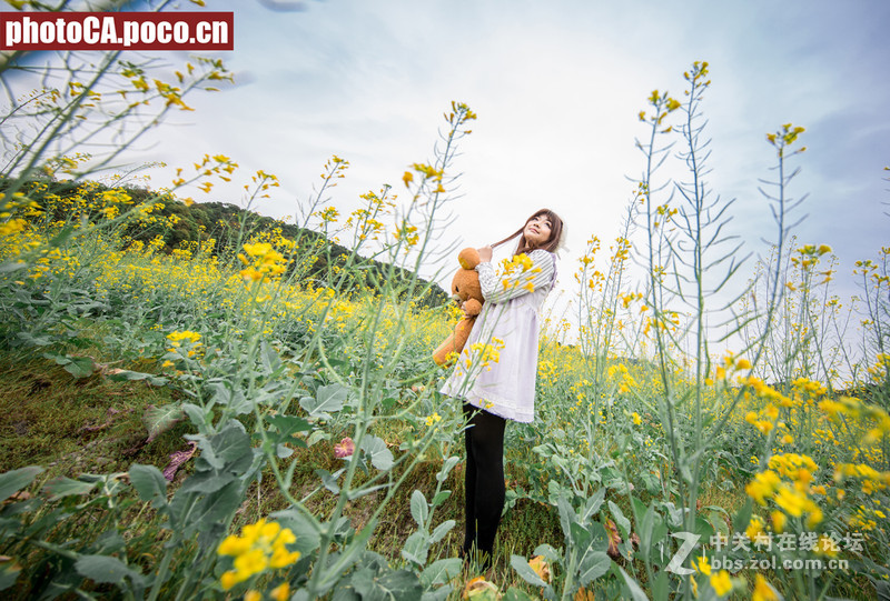 《金灿色的精灵》----1124油菜花主题大景人像