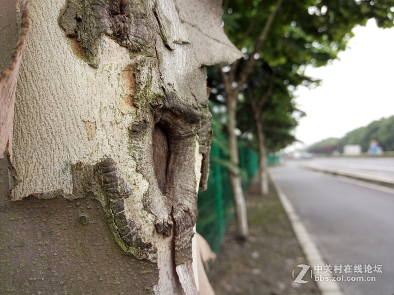 #全金属闪拍利器#+OPPO R7闪充体验之旅