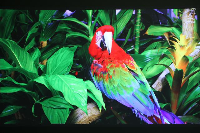 品质生活需要讲品味的投影机——优派 X10-4K