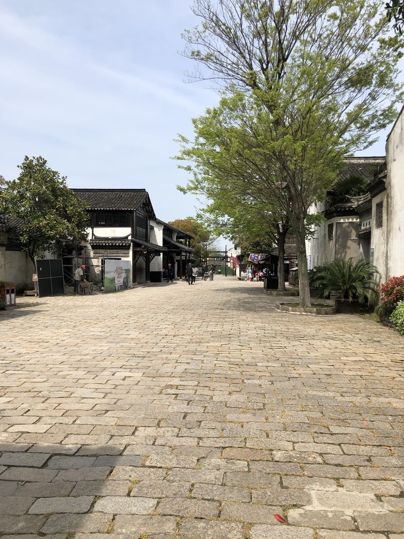 iPhonex 日常拍照样张