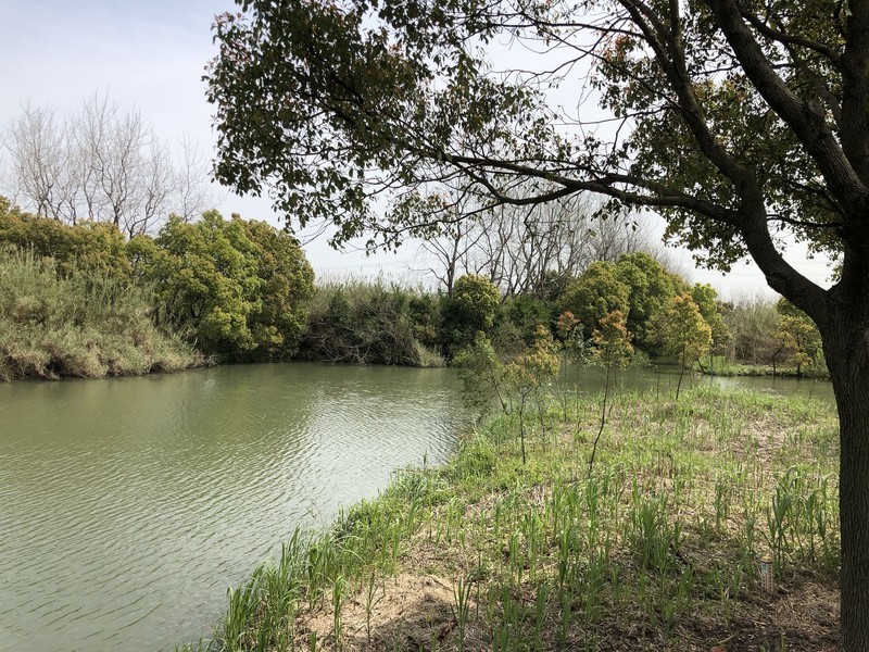 iPhonex 日常拍照样张