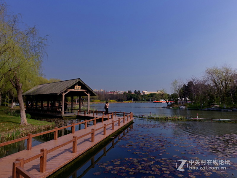 索尼黑卡的色彩