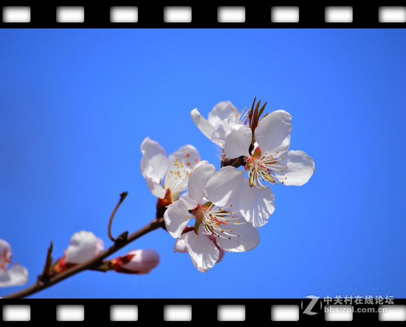 春暖花开~光影篇