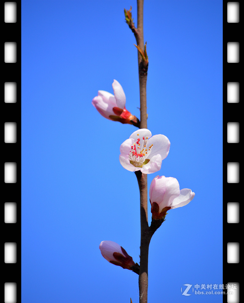 春暖花开~光影篇