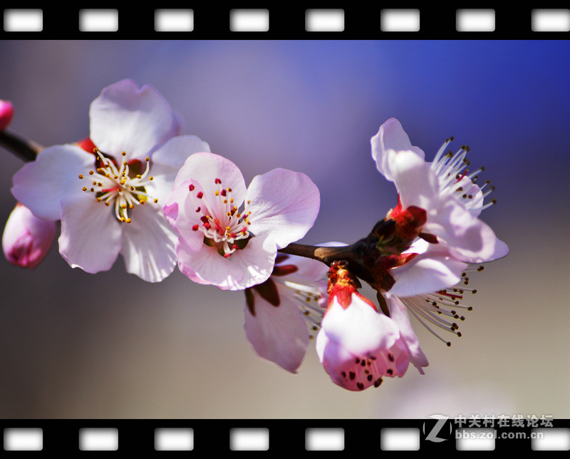 春暖花开~光影篇