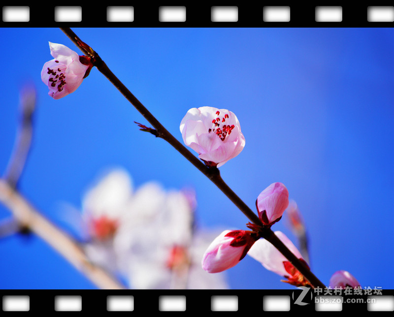 春暖花开~光影篇