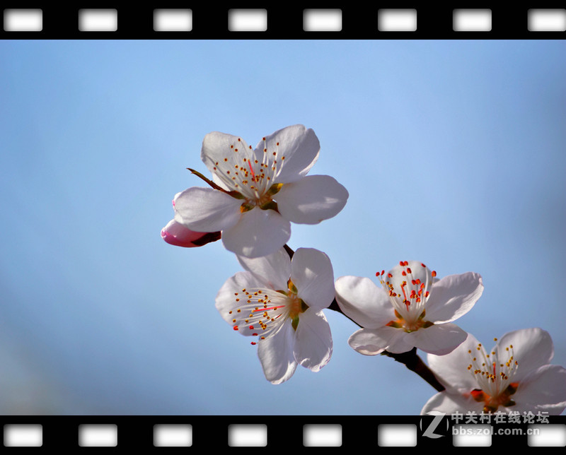 春暖花开~光影篇