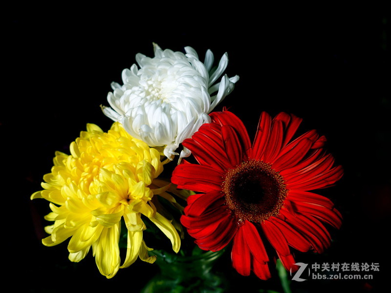 索尼黑卡的色彩