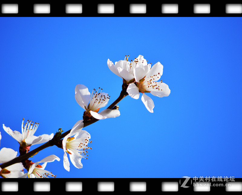 春暖花开~光影篇