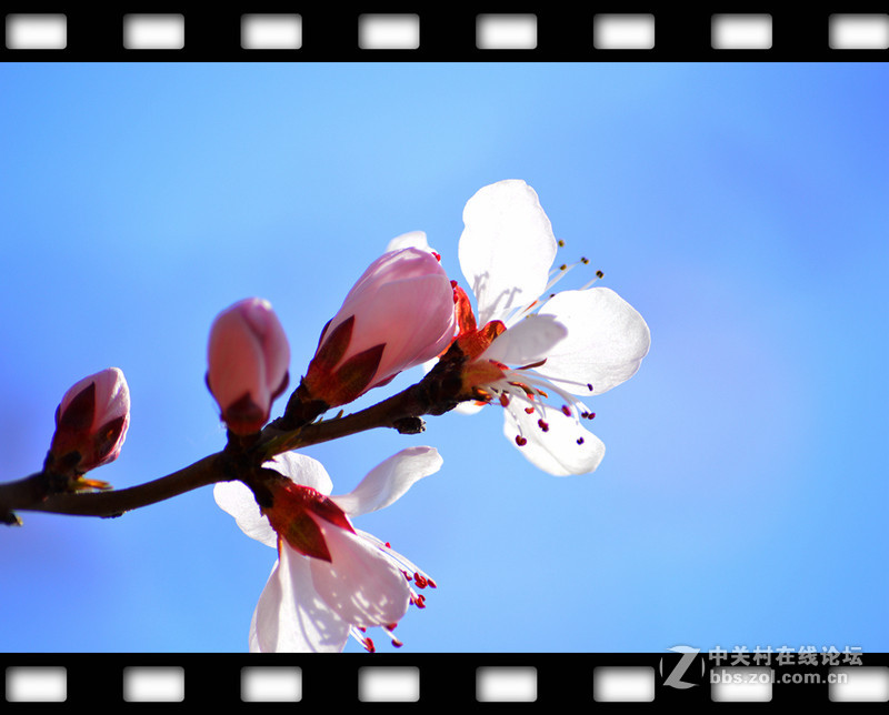 春暖花开~光影篇